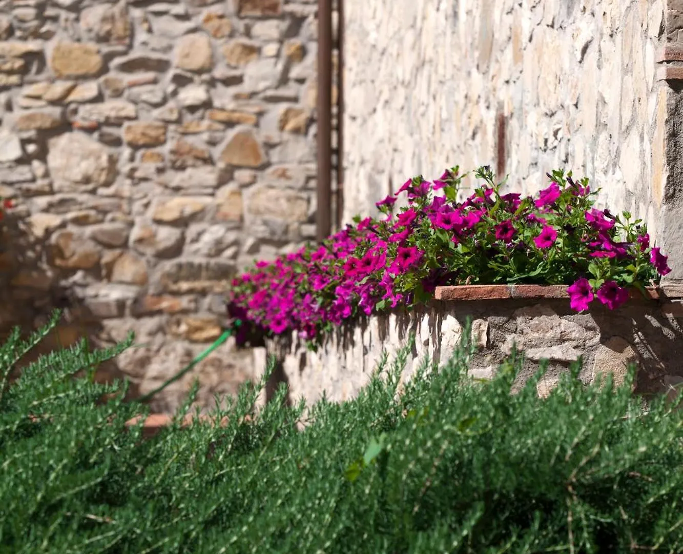 Agriturismo La Casa Di Rodo Quarrata